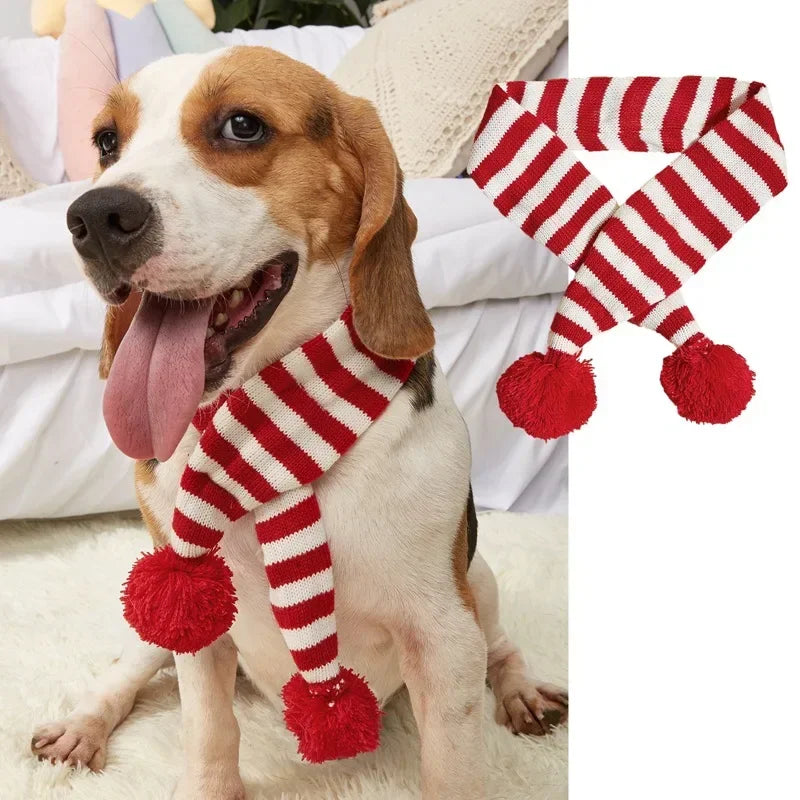 Celebrate the season: Winter pet scarf for cozy winter fun