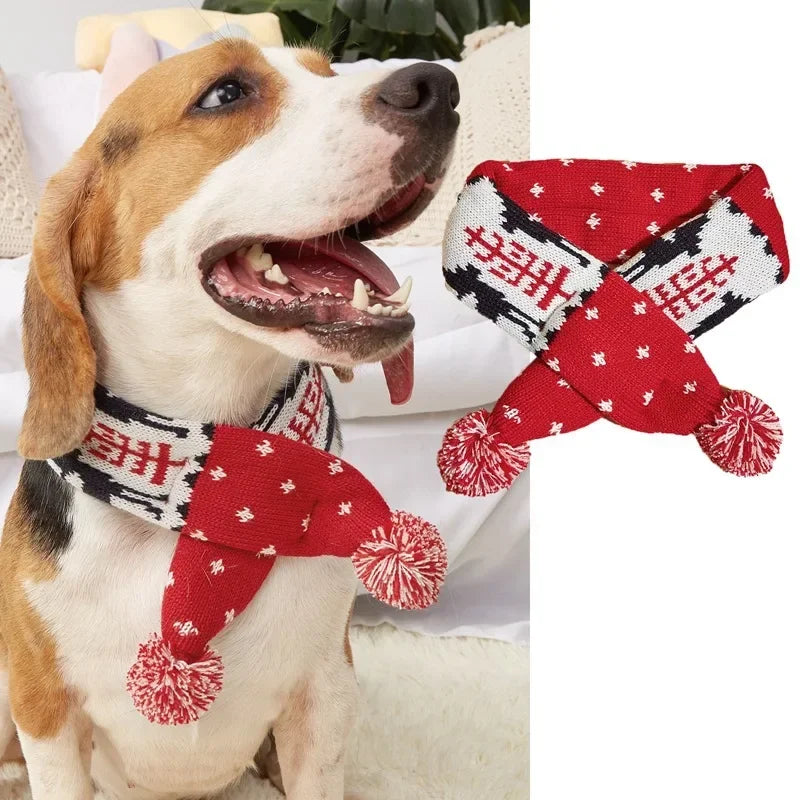 Celebrate the season: Winter pet scarf for cozy winter fun