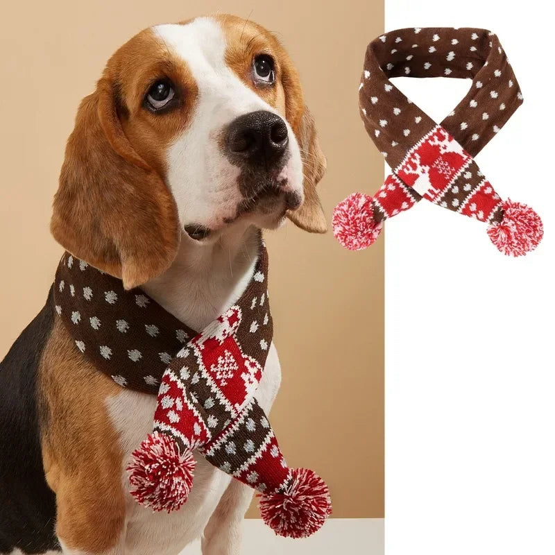 Celebrate the season: Winter pet scarf for cozy winter fun