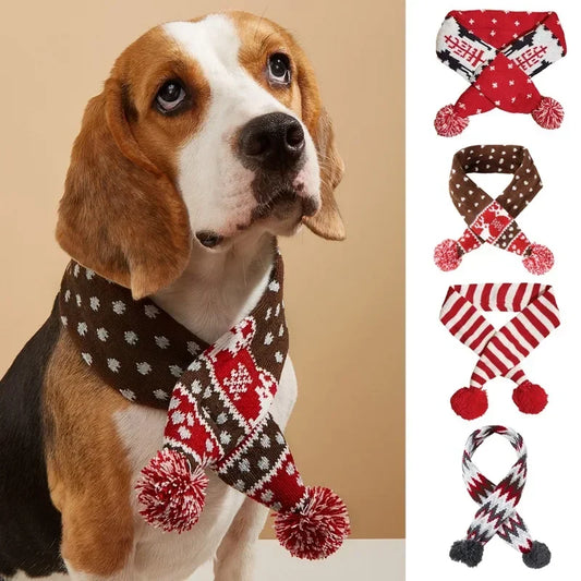 Celebrate the season: Winter pet scarf for cozy winter fun