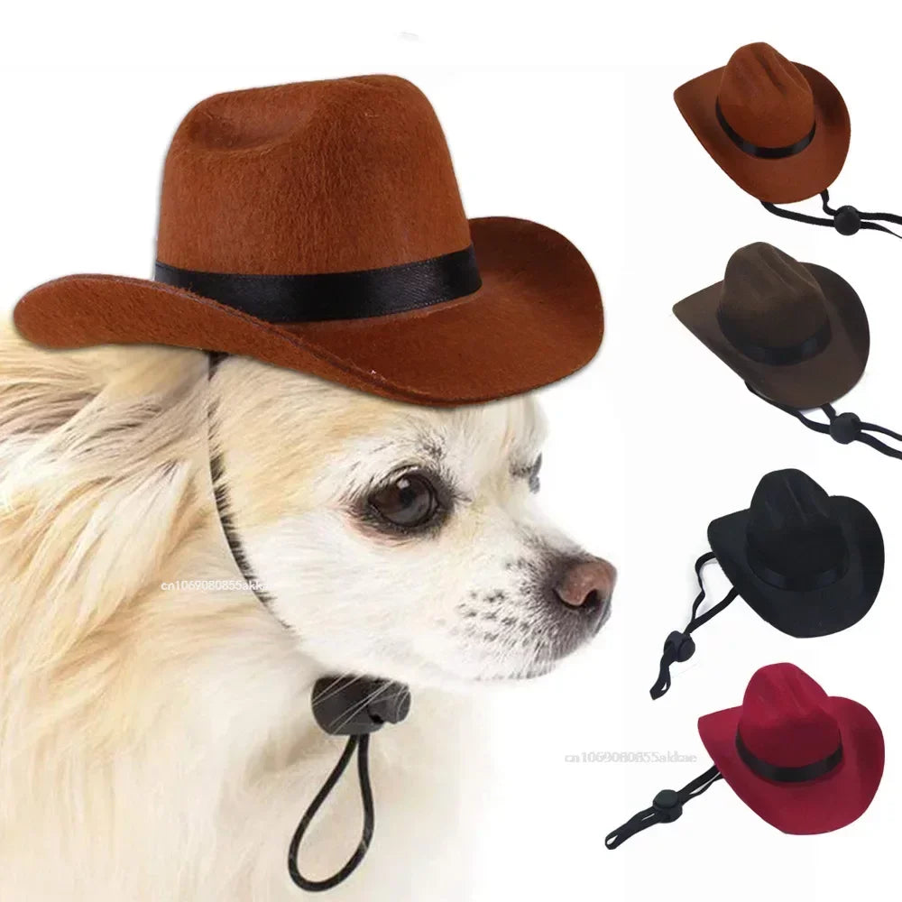 Fashion dog cowboy hat | Stylish pet hats for small & medium dogs and cats