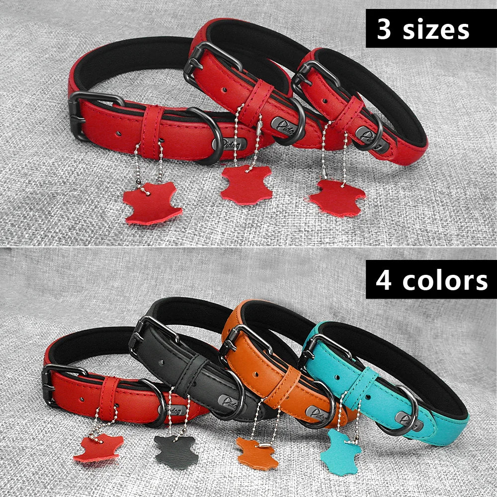 Leather dog collar | Padded & adjustable for small to large breeds