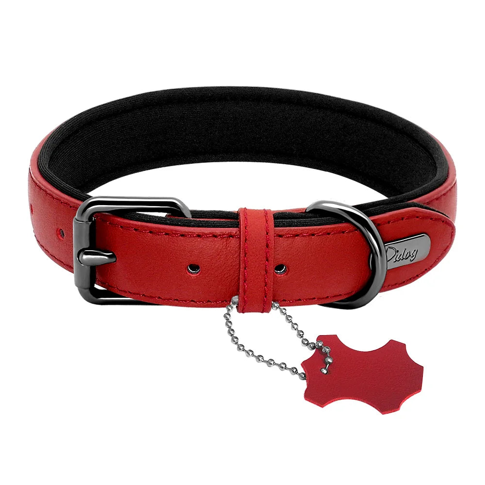 Leather dog collar | Padded & adjustable for small to large breeds